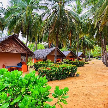 Roshanne Beach Resort Kalpitiya Kültér fotó