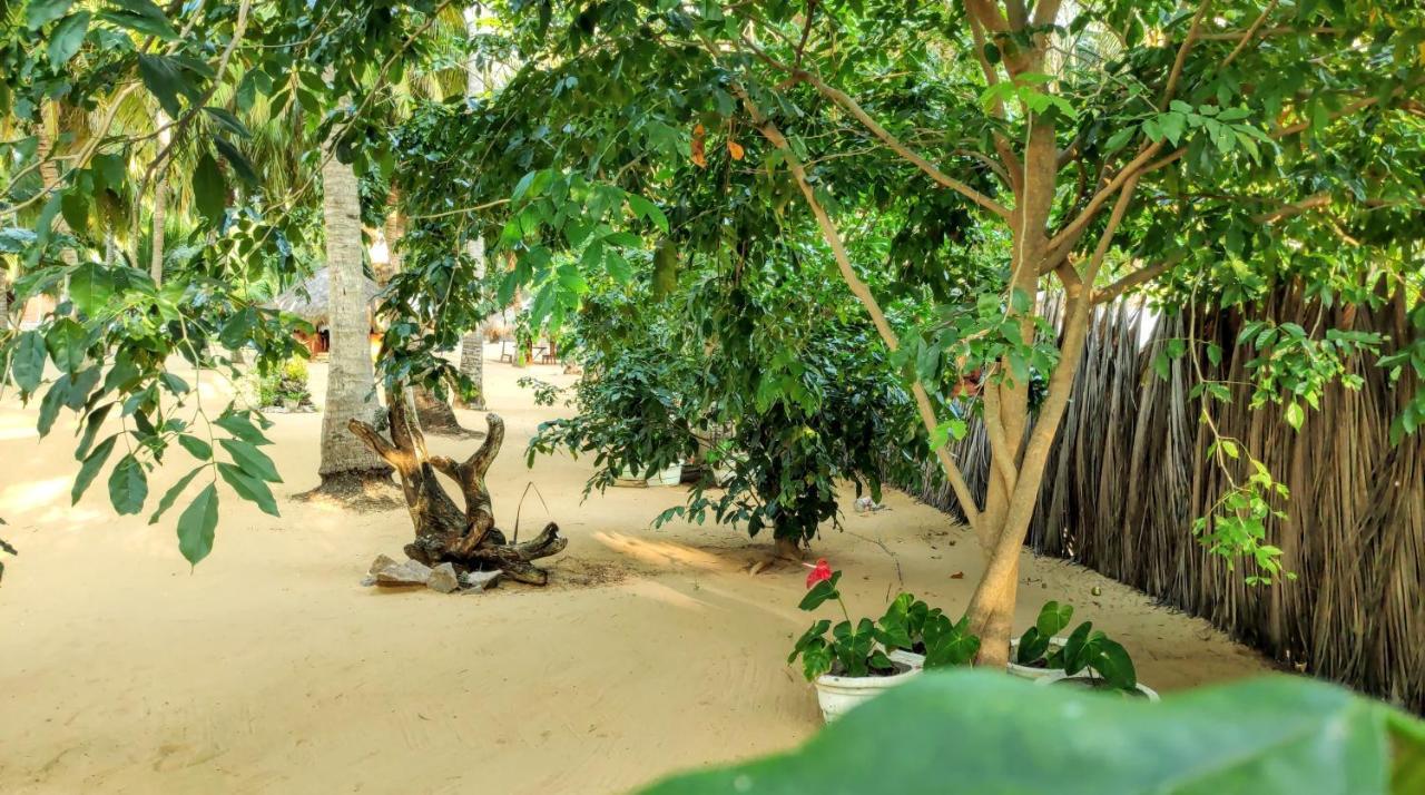 Roshanne Beach Resort Kalpitiya Kültér fotó