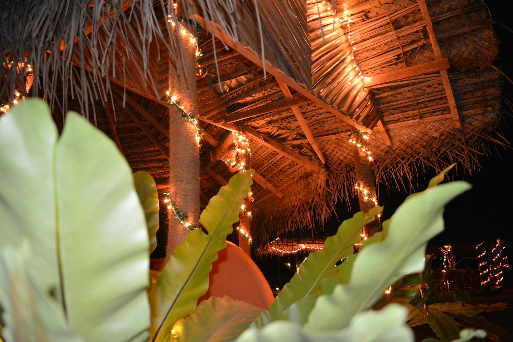 Roshanne Beach Resort Kalpitiya Kültér fotó